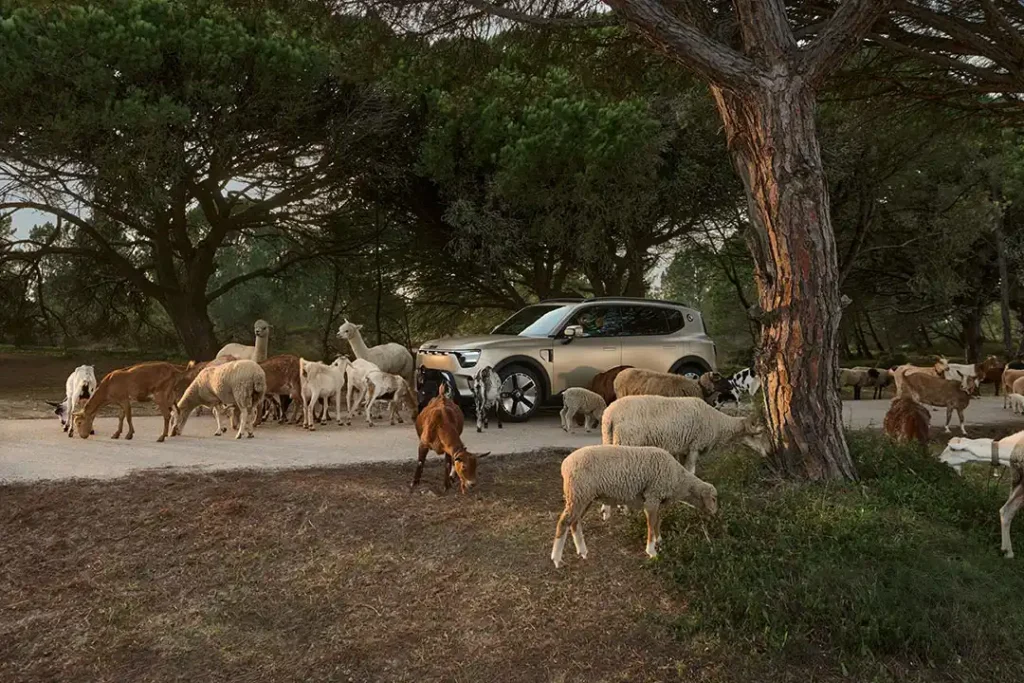 Side view of a smart #5 electric SUV parked on a road filled with sheep, goats, llamas and cows
